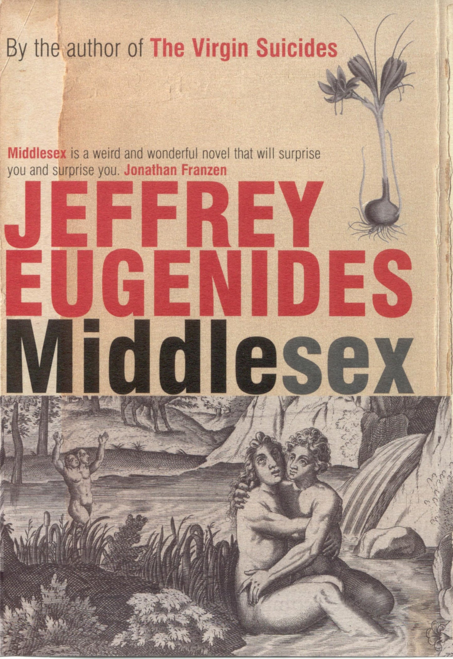 Middlesex (Trade Paperbook) by Jeffrey Eugenides