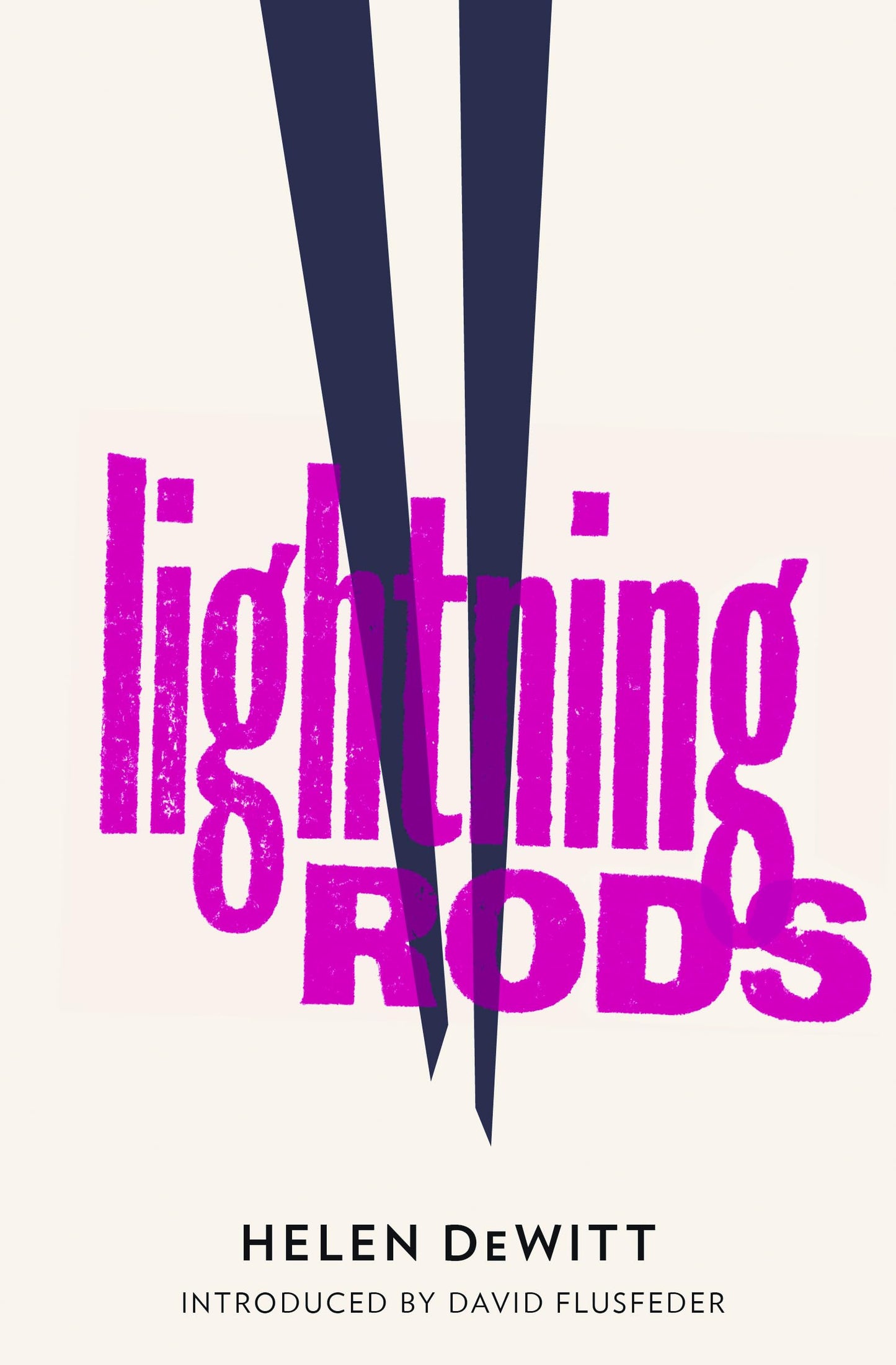 Lightning Rods by Helen DeWitt